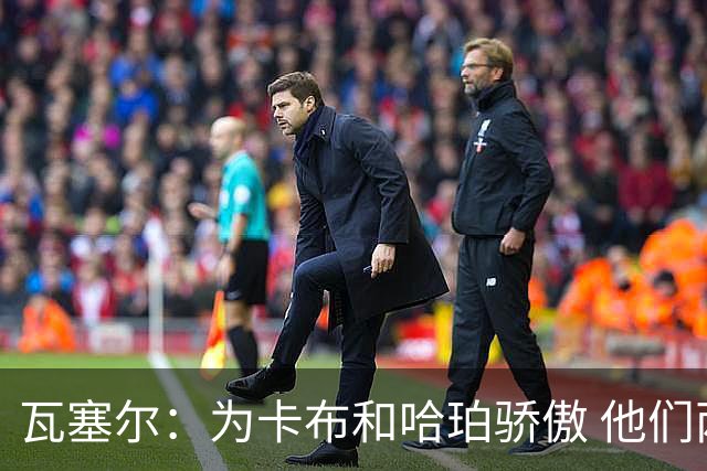 瓦塞尔：为卡布和哈珀骄傲 他们两个都有着不可限量的未来